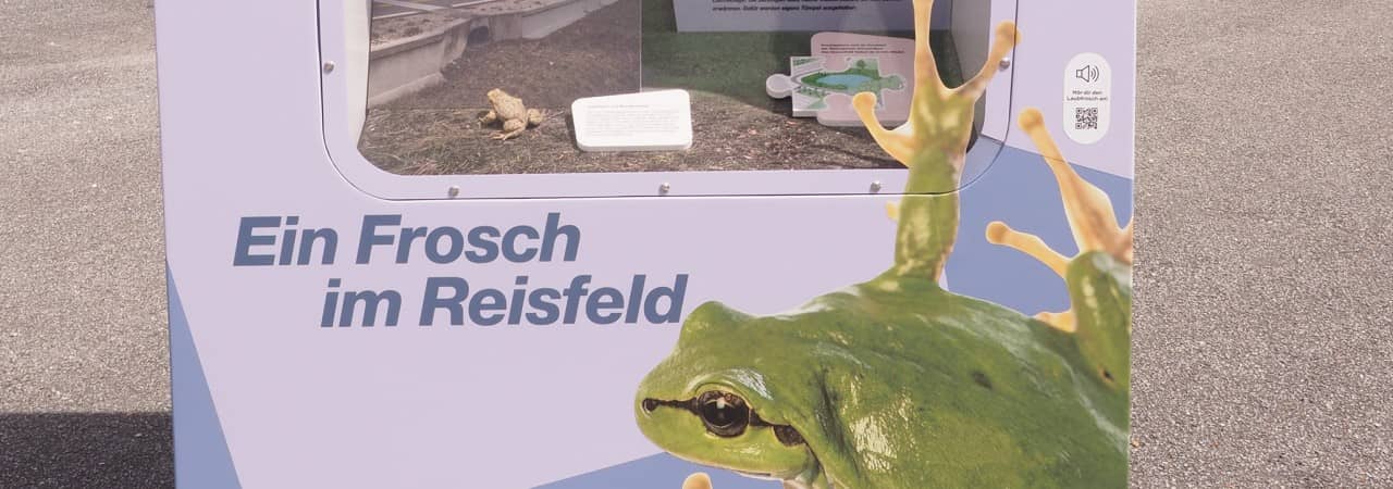 Modul Gewässer der mobilen Ausstellung zur ökologischen Infrastruktur