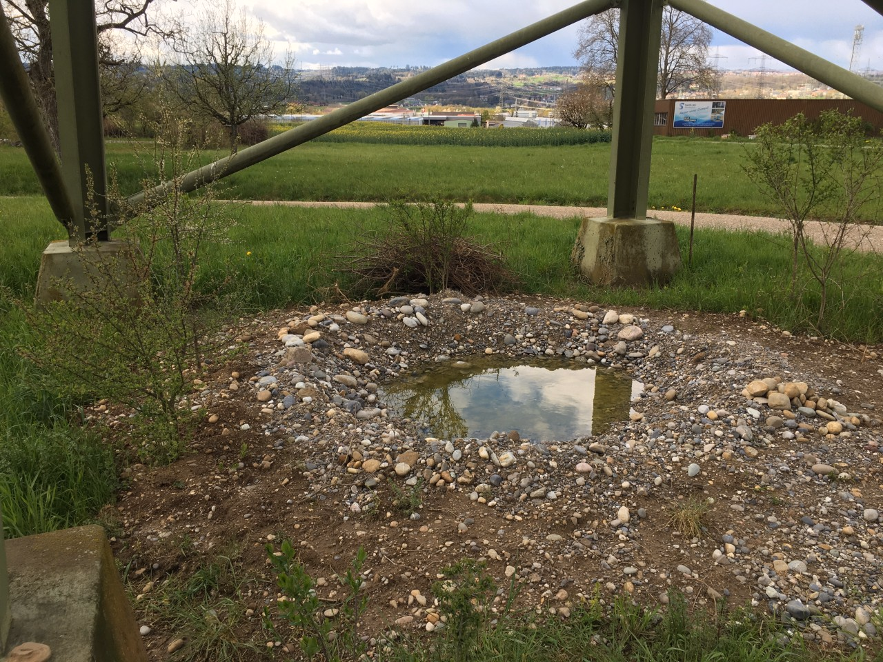 Das Bild zeigt einen kleinen Tümpe unter einem Hochspannungsmasten.