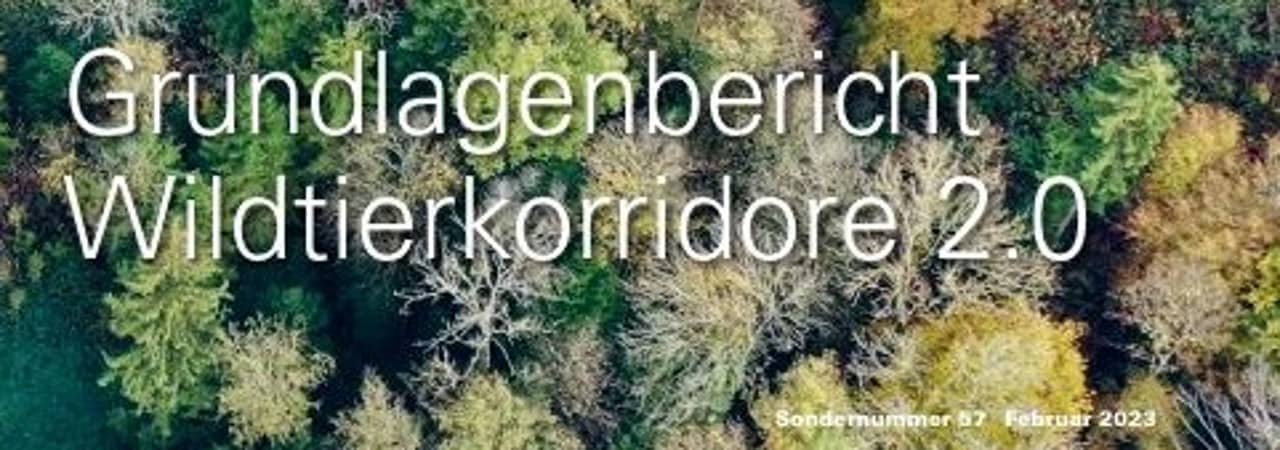 Ausschnitt des Titelblatts der Broschüre "Grundlagenbericht Wildtierkorridore 2.0"