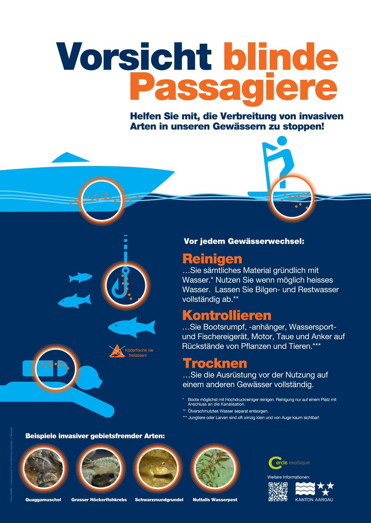 Es ist ein blau-weisses Plakat mit einem Boot, einem Standup-Padler und einem Taucher und einem Angelhaken. Bei allen wird mit einem orangen Kreis auf die Gefahr von Verschleppung invasives Arten aufmerksam gemacht.