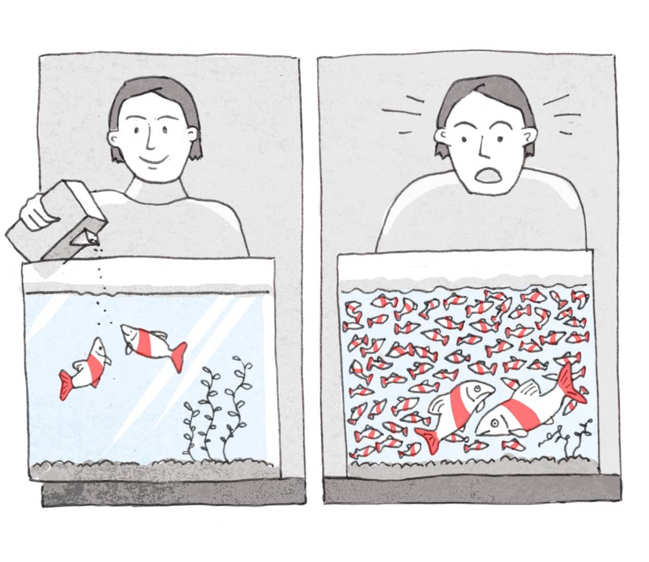 Die Illustration zeigt eine Person die Fische in einem Aquarium füttert.