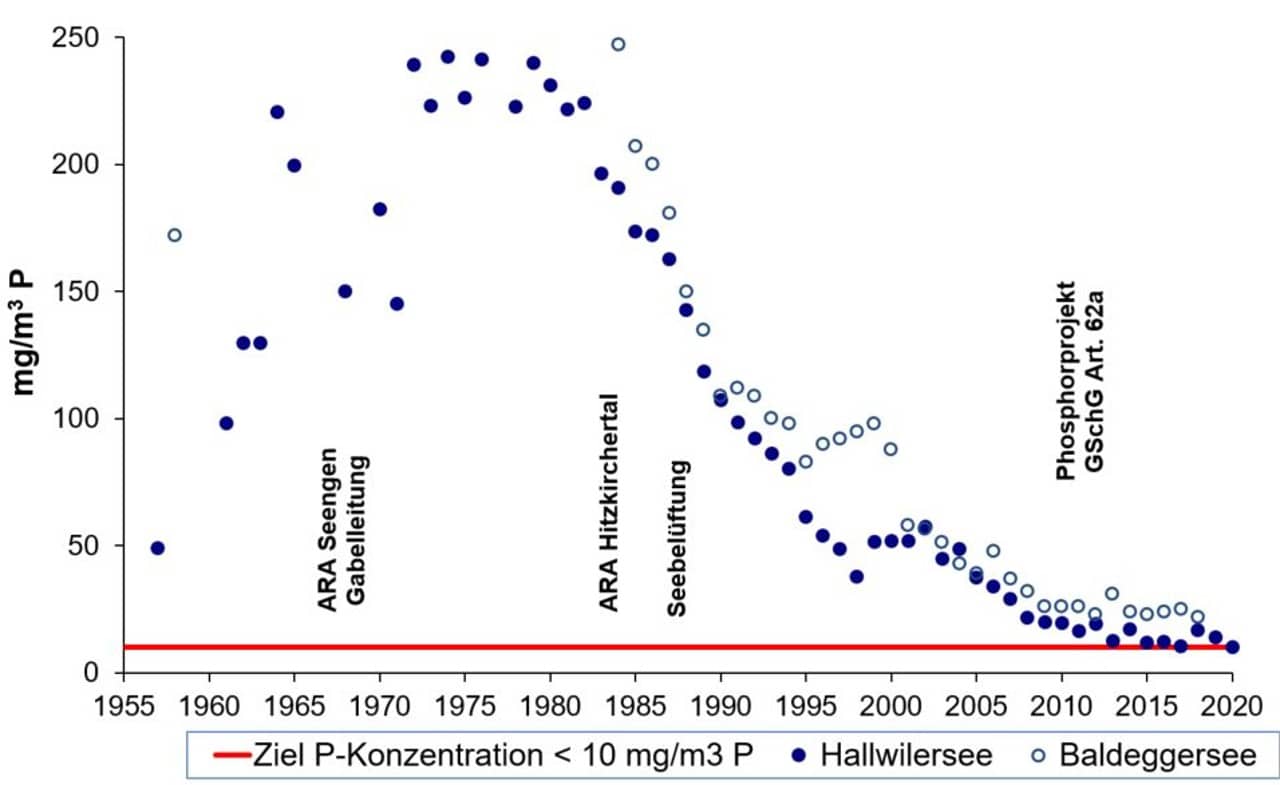 Grafik Phosphorgehalte im Baldegger- und Hallwilersee