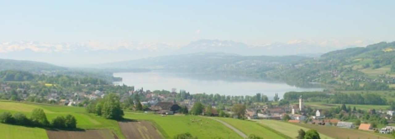 Hallwilersee