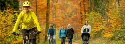 Zwei Fahradfahrer sowie Spaziergänger treffen sich auf einem Waldweg.