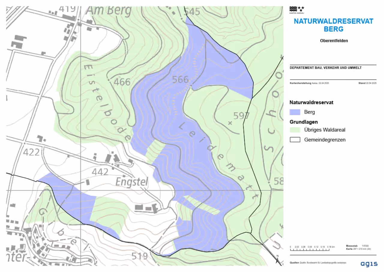 Karte mit der Fläche des Naturwaldreservats Berg.