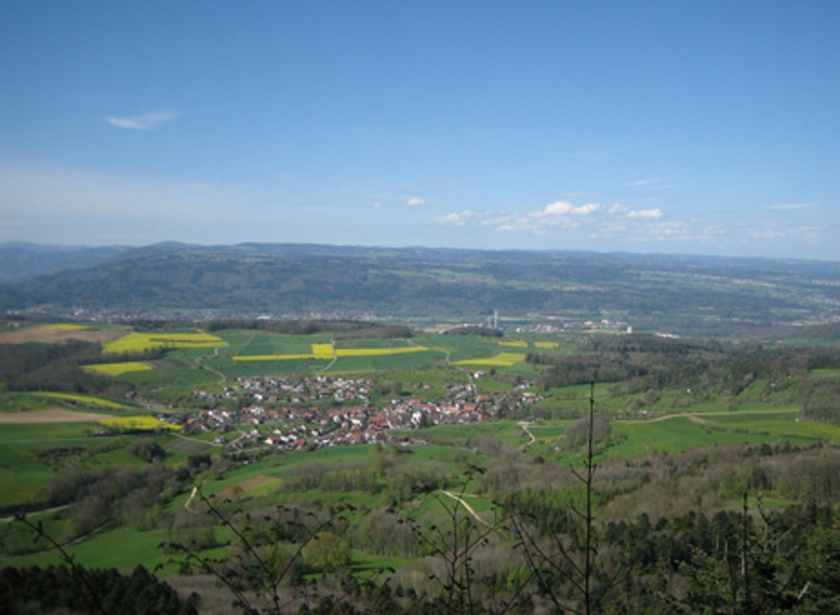Naturwaldreservat Thiersteinberg-Homberg-Horn