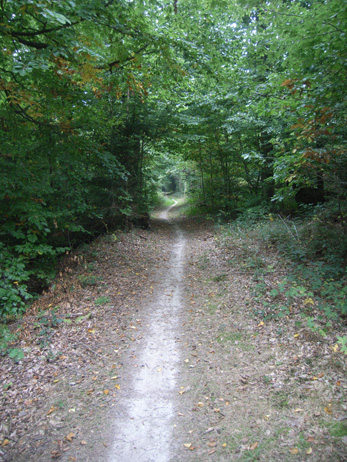 Naturwaldreservat Teufelskeller