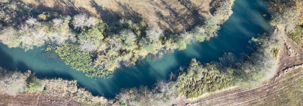 Luftaufnahme eines gewundenen Flusslaufs mit klarem, blaugrünem Wasser, umgeben von Bäumen und grün-brauner Vegetation. Uferbereiche mit Schatten und natürlichen Übergängen.