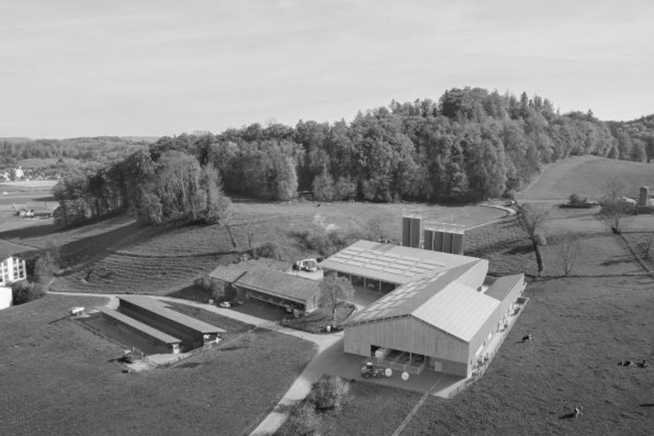 Luftbild Landwirtschaftlicher Gutsbetrieb mit Stallungen, Scheunen, Silos