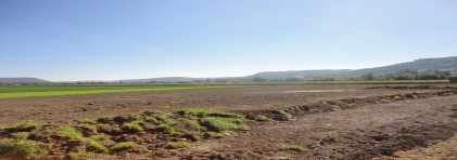 angepasste Geländeform auf einer Landwirtschaftsfläche um das Bewirtschaften zu erleichtern.