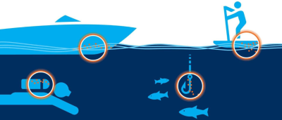 Piktogramme der Kampagne gegen aquatische Neobiota