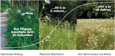 Grafik mit dem zu erwartenden Ausmass an Arbeit bei der Neophytenbekämpfung