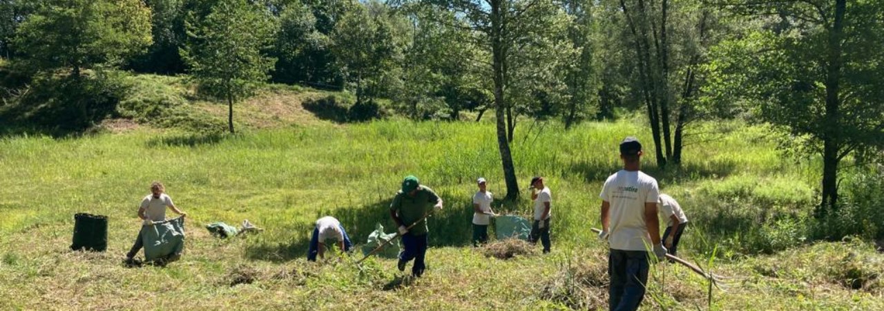 Arbeiter auf einem Feld.