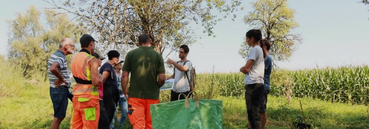Interessierte an einem Neophyten Bestimmungskurs auf dem Feld