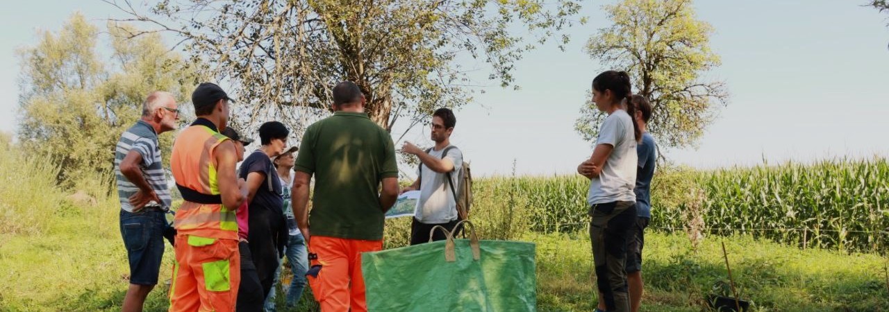 Interessierte an einem Neophyten Bestimmungskurs auf dem Feld.