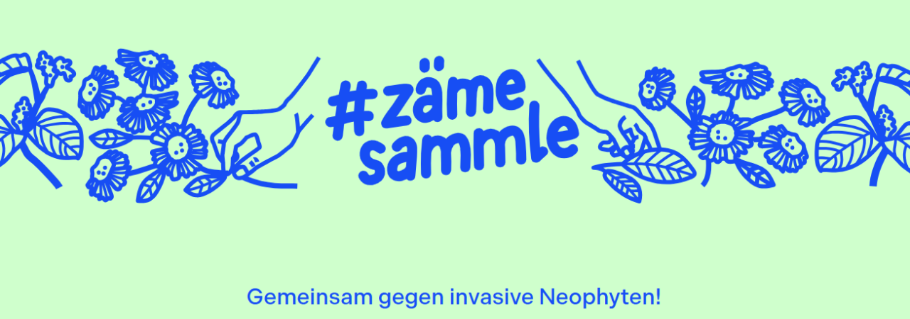 Titelbild zur Website #zämesammle
