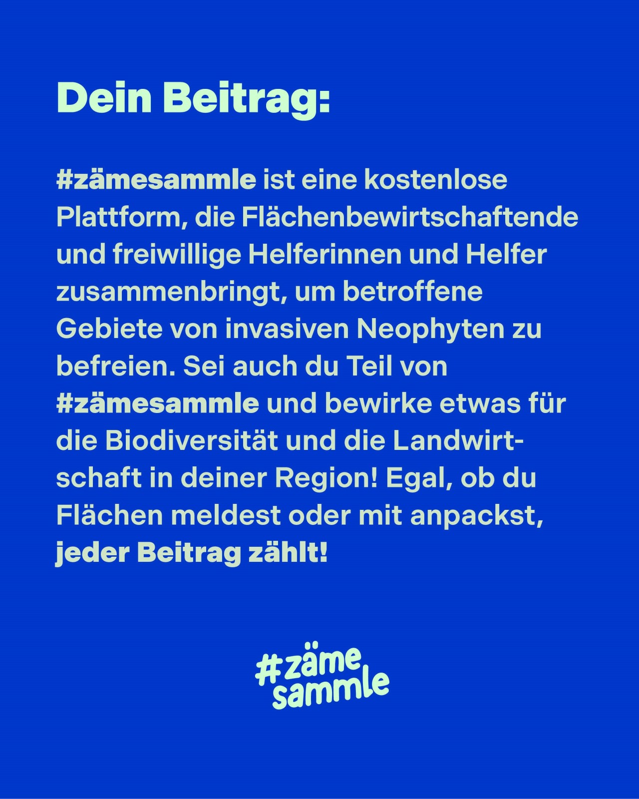 Beschreibung über die Aktion zämesammle.