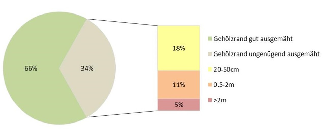 66 % der erhobenen Wald- und Heckenränder wurden gut und 34 % wurden nicht genügend ausgemäht.