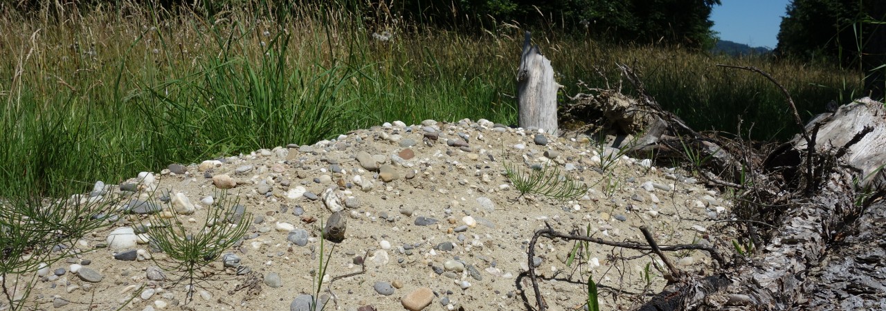 Sandhaufen