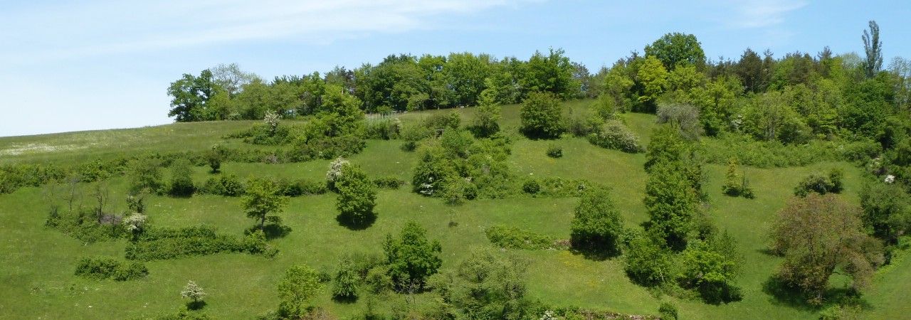 strukturreiches Landwirtschaftsland