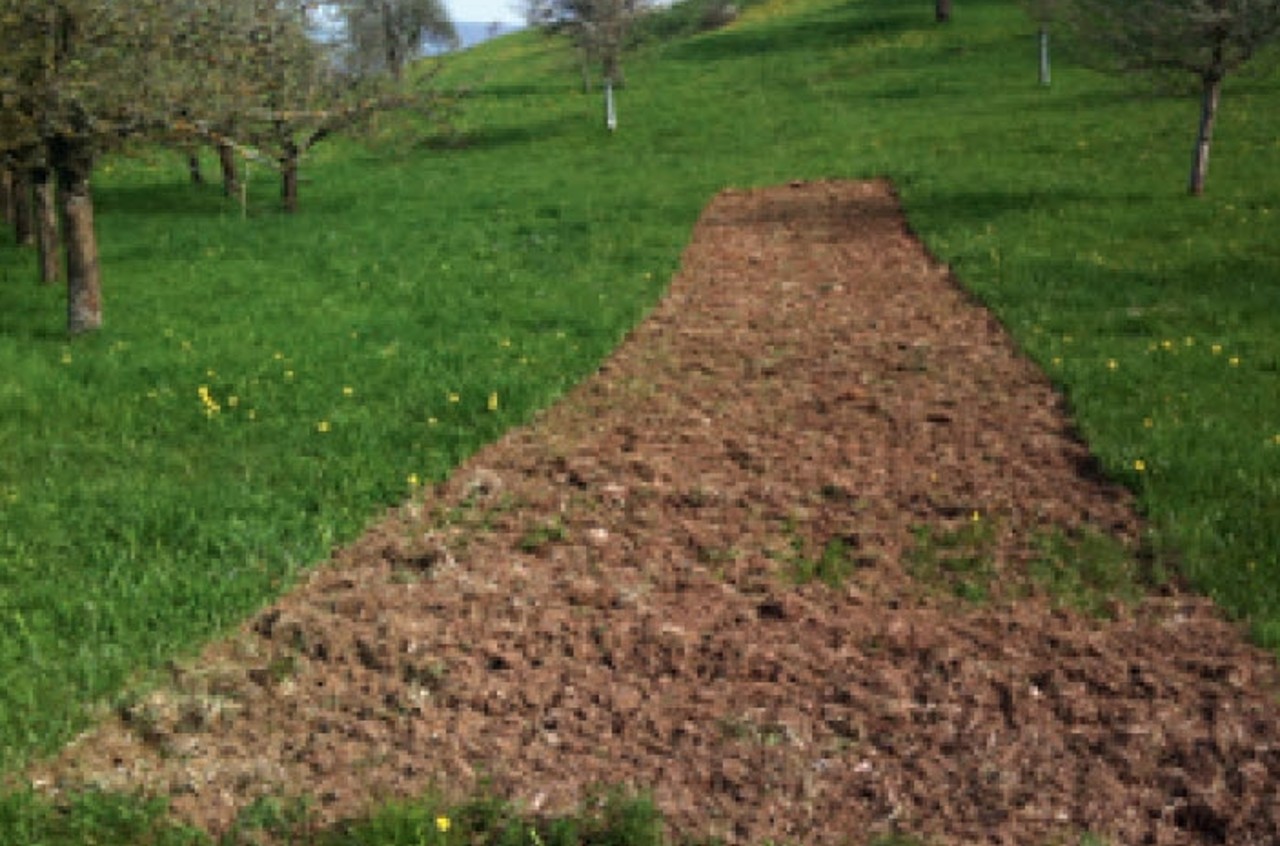 Die Vegetation ist entfernt und mit der Kreiselegge bearbeitet worden.