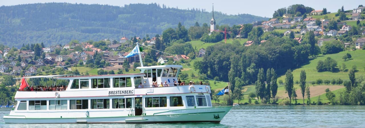 Schiff auf dem Hallwilersee