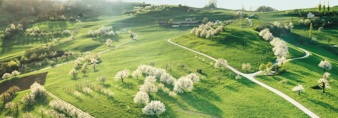 Farschberg, Gipf-Oberfrick