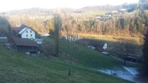 Landschaftsfoto: grüne Wiese, Bäume, Bauernhof.