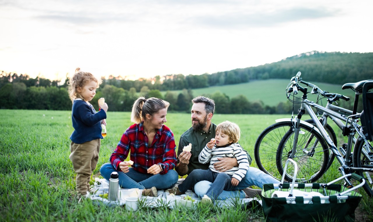 Frau und Mann sitzen auf einer Picknickdecke auf einer Wiese. Der Mann hält ein Kind im Arm, dass etwas isst. Ein anderes Kind steht neben der Frau. Zwei Fahrräder und ein Picknickkorb sind neben dem Mann.  