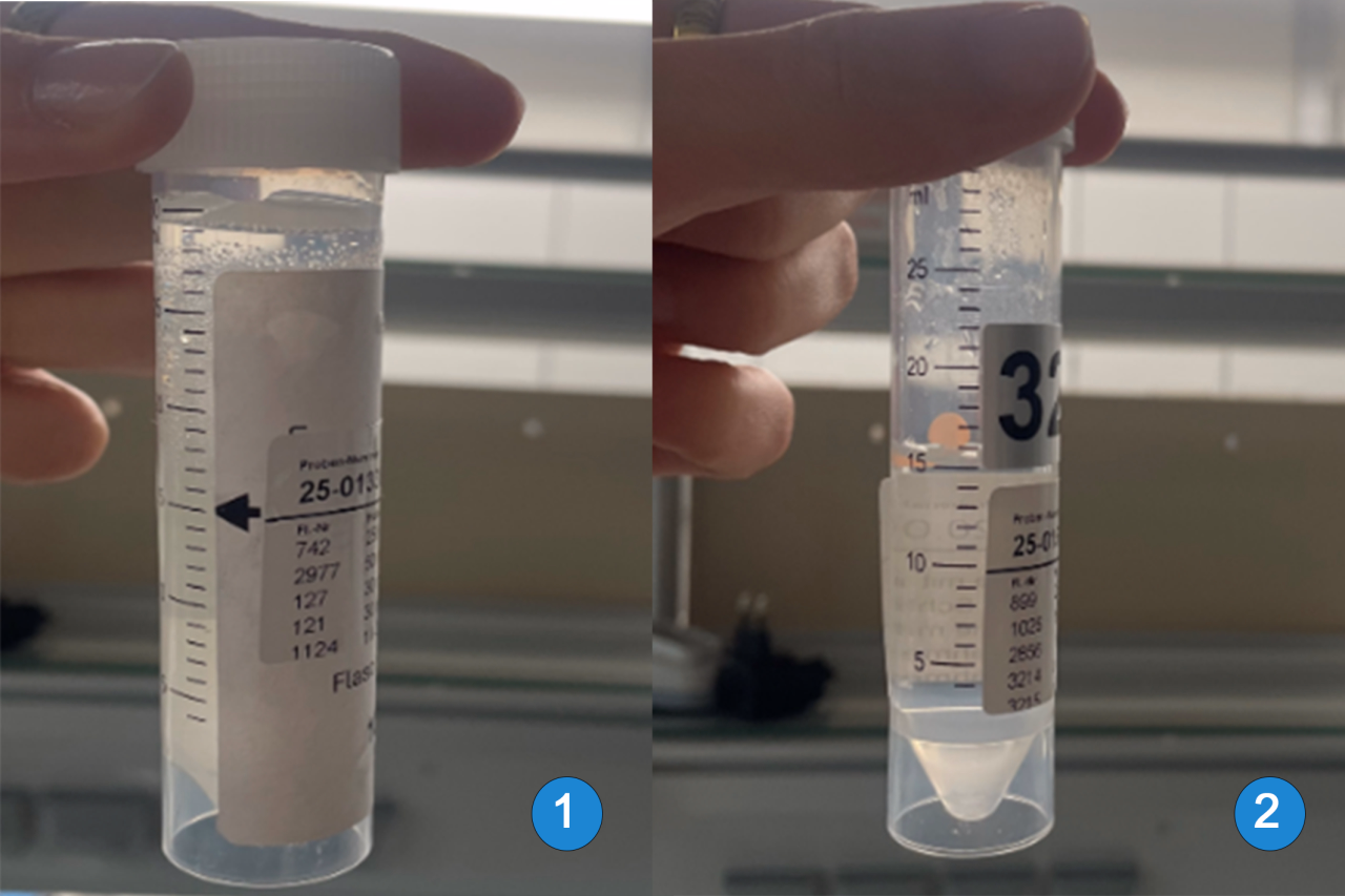 Zweigeteiltes Bild: Zwei Laborröhrchen, einmal beschriftet mit Nummer 1, einmal beschriftet mit Nummer 2.