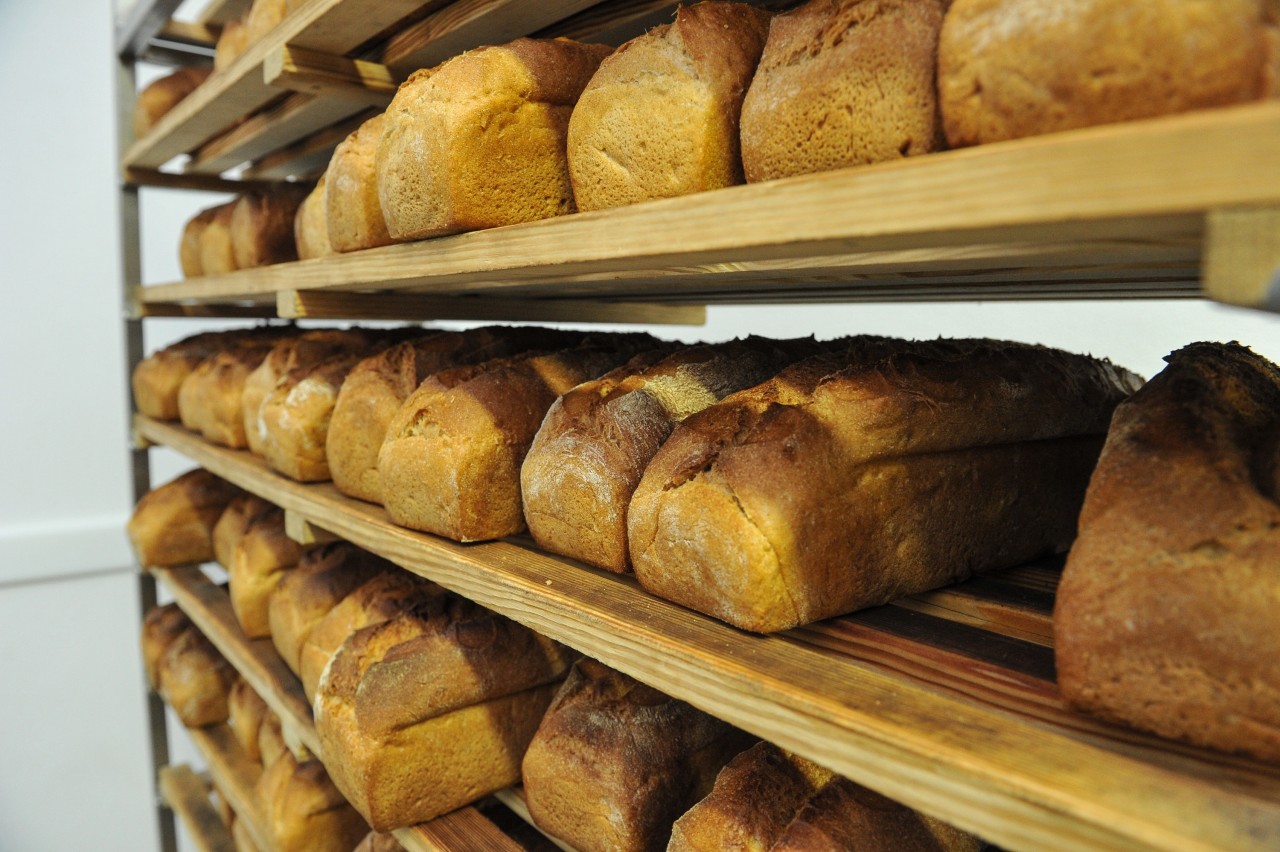 Hergestellte Brote im Gestell aus der JVA Bäckerei