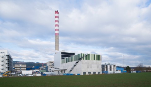 Holzschnitzelkraftwerk bei DSM in Sisseln