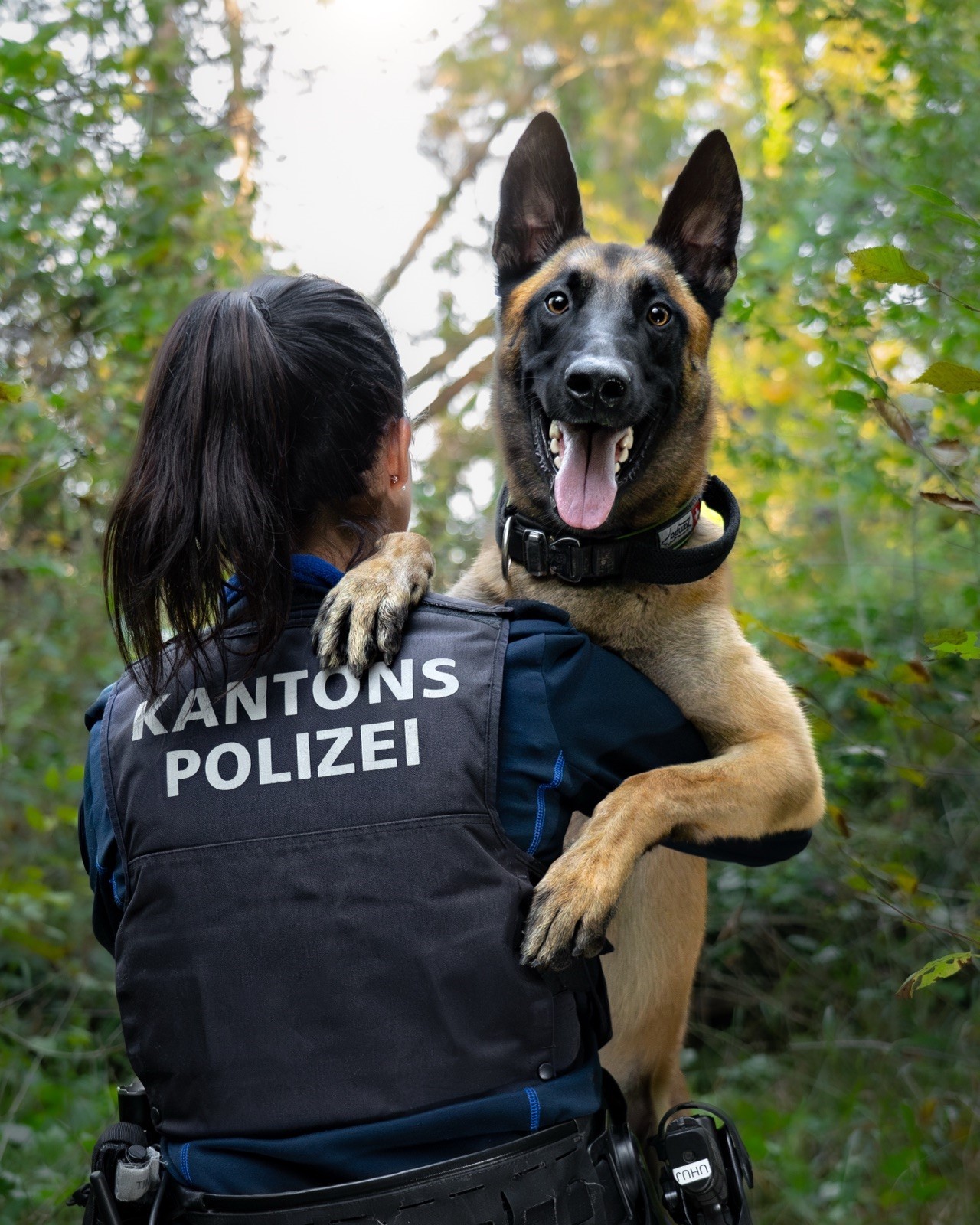 Diensthund Malouk der Kantonspolizei Aargau mit Hundeführerin.