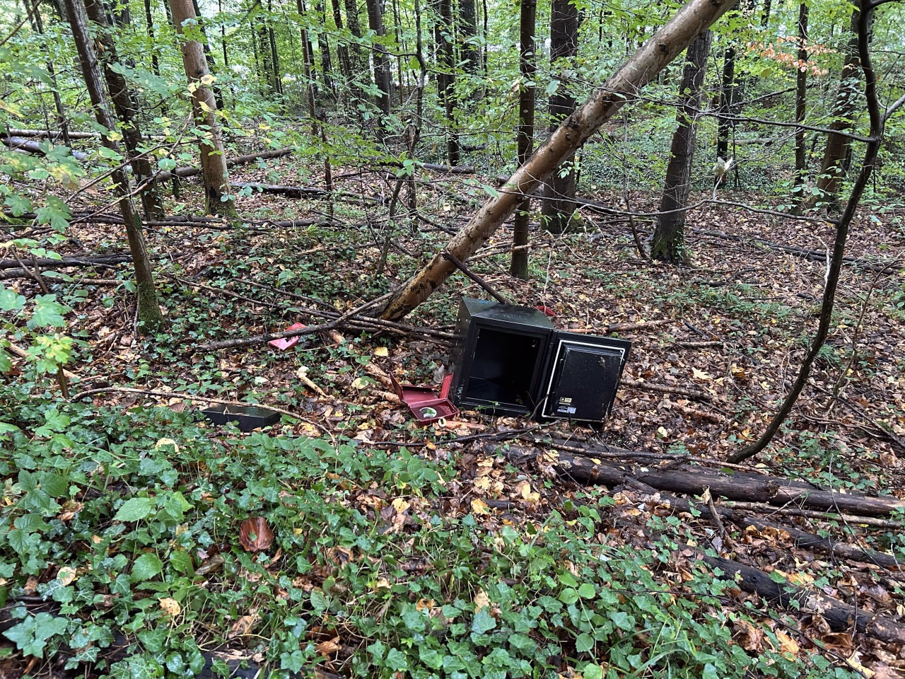 Aufgebrochener Tresor im Wald.