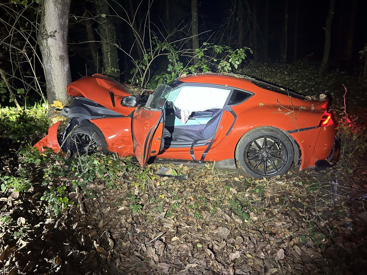 Demolierter Sportwagen nach Kollision mit Baum.