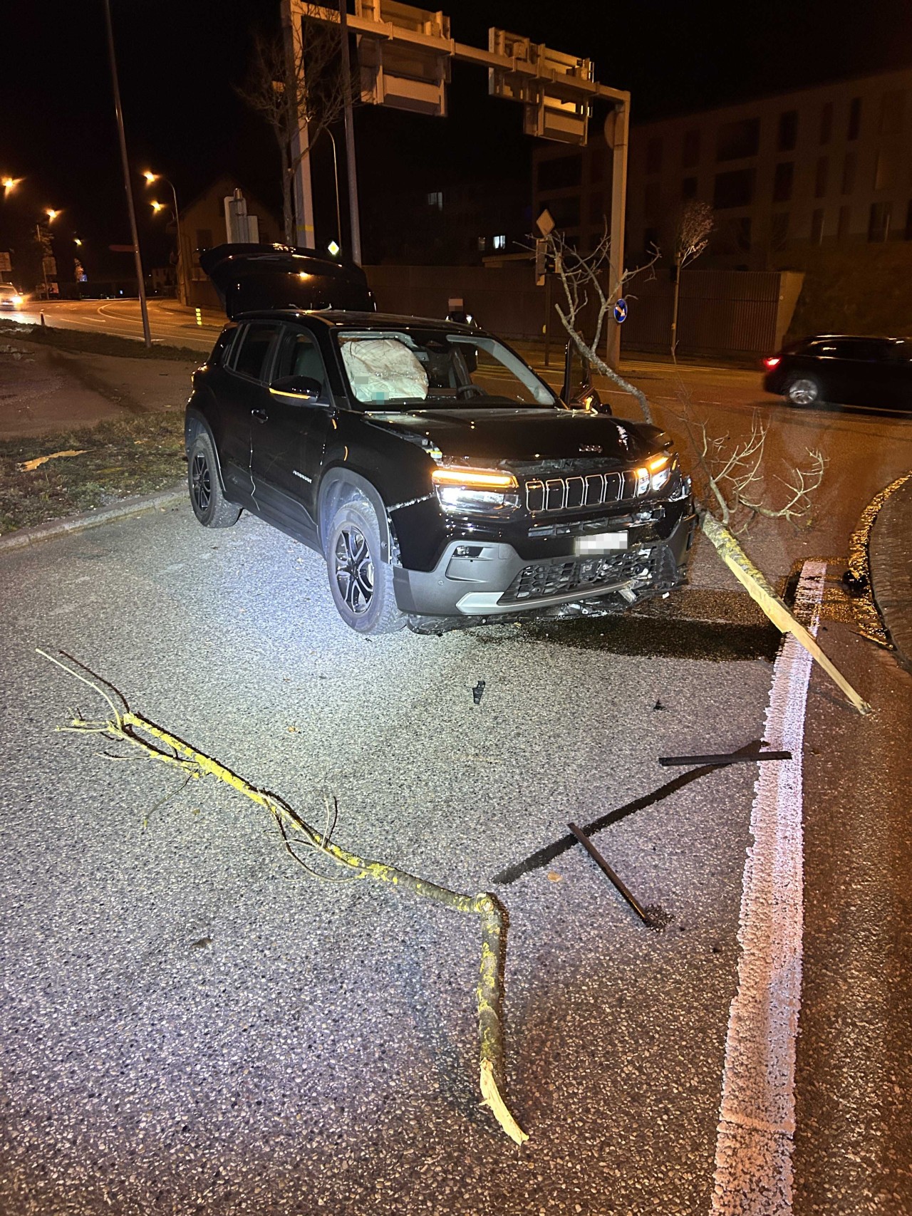 Demoliertes Fahrzeug nach Kollision mit Baum.