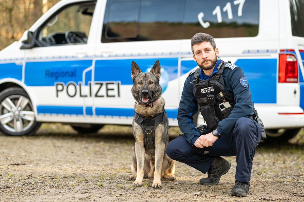 Polizeihund Gin mit Hundeführer.
