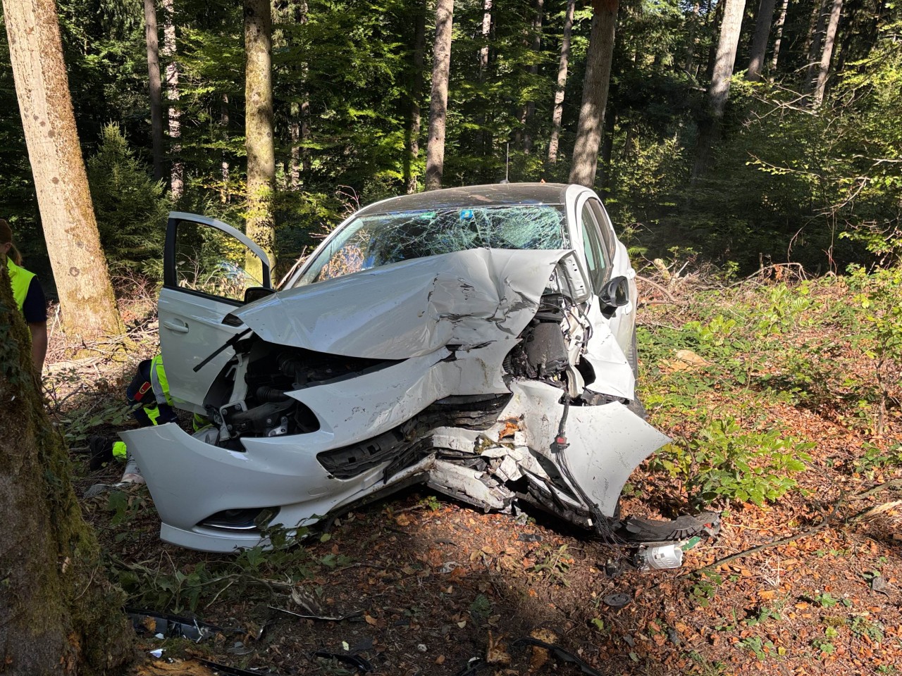 Demolierter Wagen nach Kollision mit Baum.