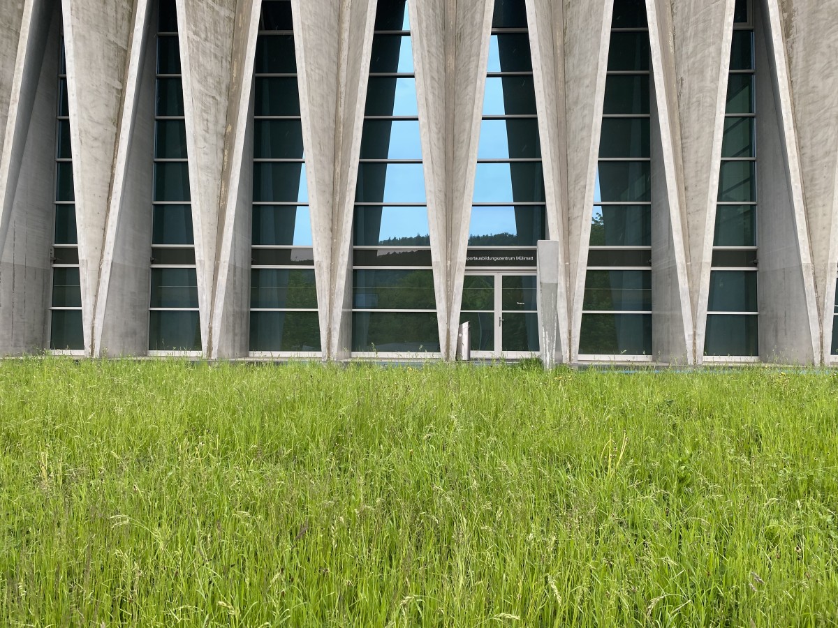 Grüne Wiese mit Gebäudestruktur im Hintergrund