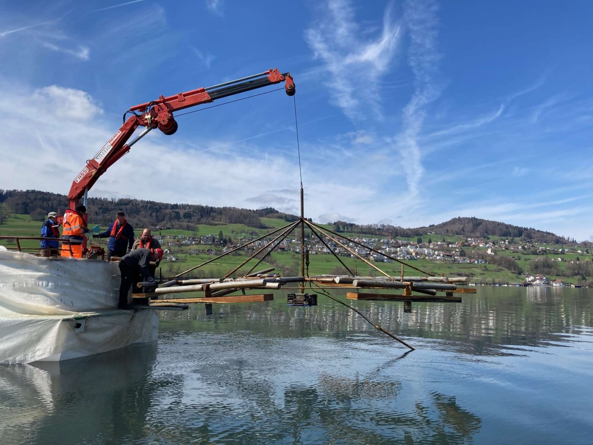 Ein Kran hebt eine Holzkonstruktion über ein Gewässer. Mehrere Personen in Sicherheitskleidung stehen auf einer Plattform. Im Hintergrund sind Hügel und Häuser sichtbar.