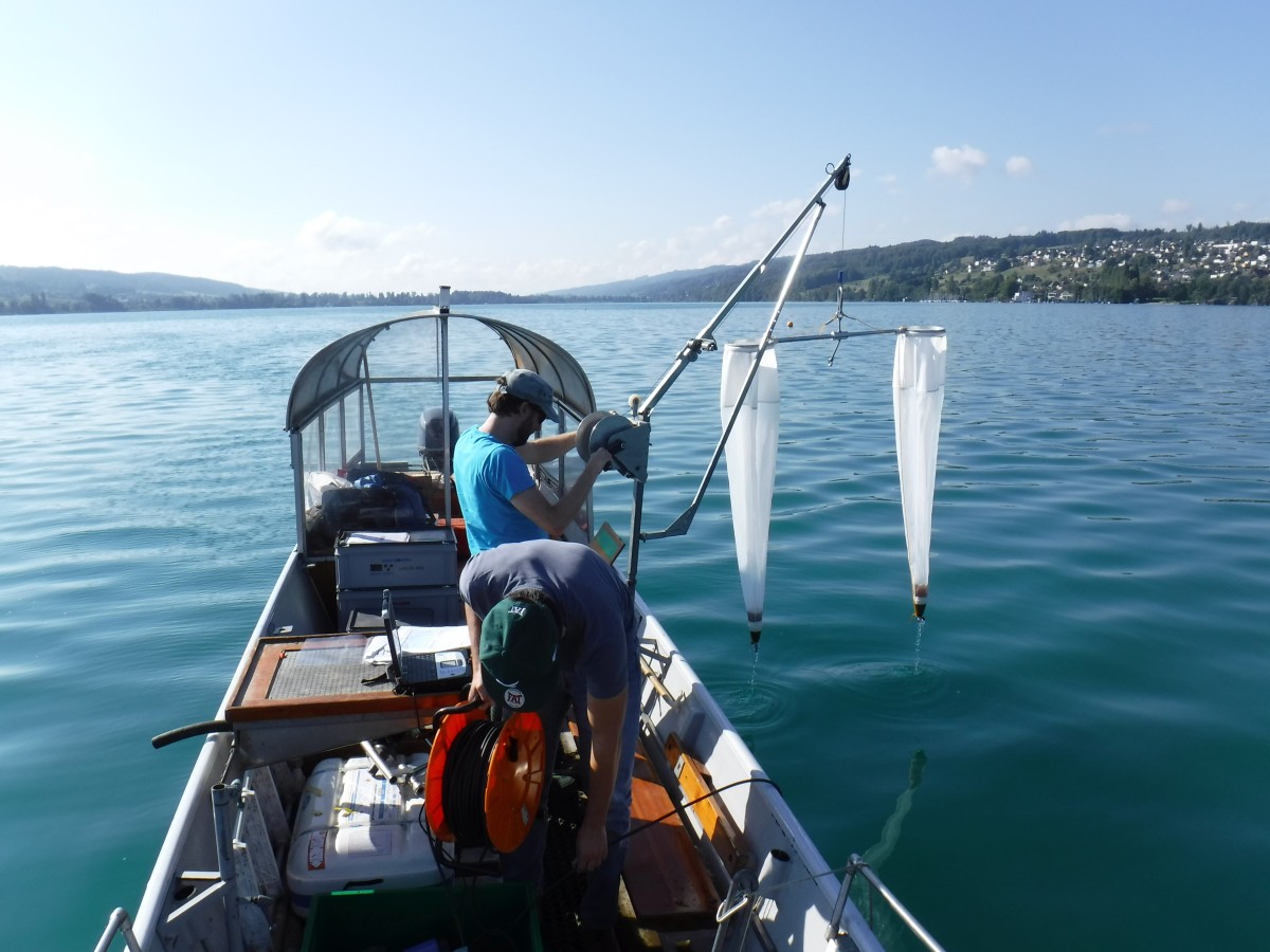 Zwei Personen auf einem Boot führen mit zwei Netzen eine Wasseruntersuchung in einem ruhigen See durch, umgeben von Hügeln und Gebäuden am Ufer.