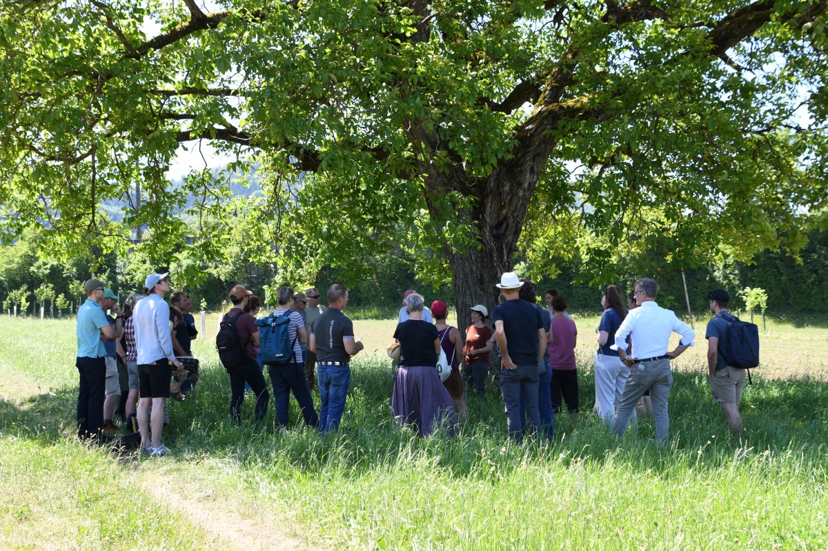 Mehrer Menschen stehen im Schatten unter einem grossen Baum