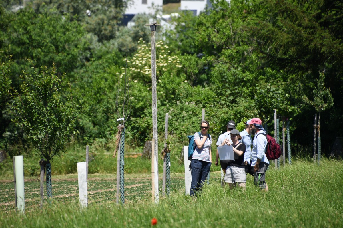 eine kleine Gruppe Menschen stehen im Feld neben frisch gepflanzten Bäumen