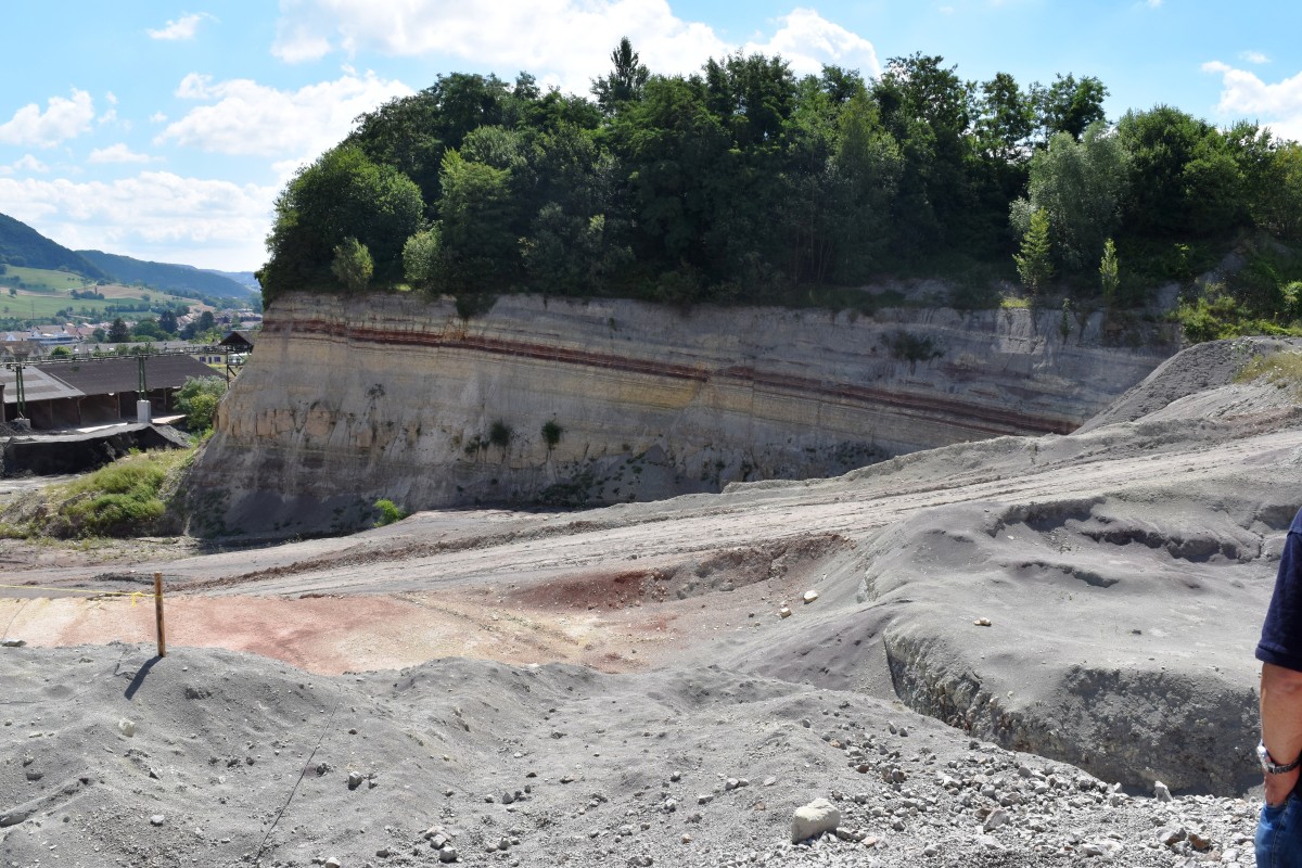 Eine Erdschichtwand mit gut sichtbaren geologischen Schichtlinien, umgeben von Bäumen und Gräsern, im Vordergrund grauer Schotterboden. Im Hintergrund eine hügelige Landschaft.