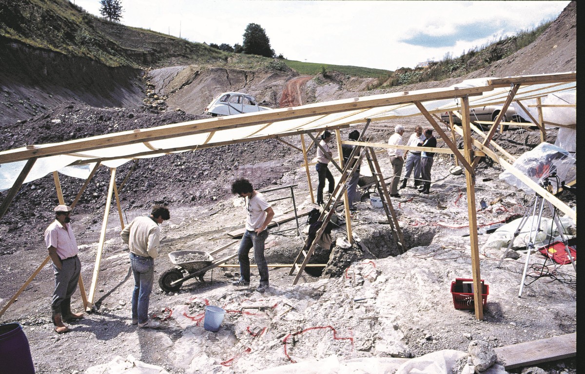 Personen arbeiten unter einem provisorischen Holzgerüst in einer Ausgrabungsstätte. Im Vordergrund sind Werkzeuge und Materialien wie Eimer und eine Schubkarre. Im Hintergrund ist ein Auto und eine grüne Landschaft sichtbar.