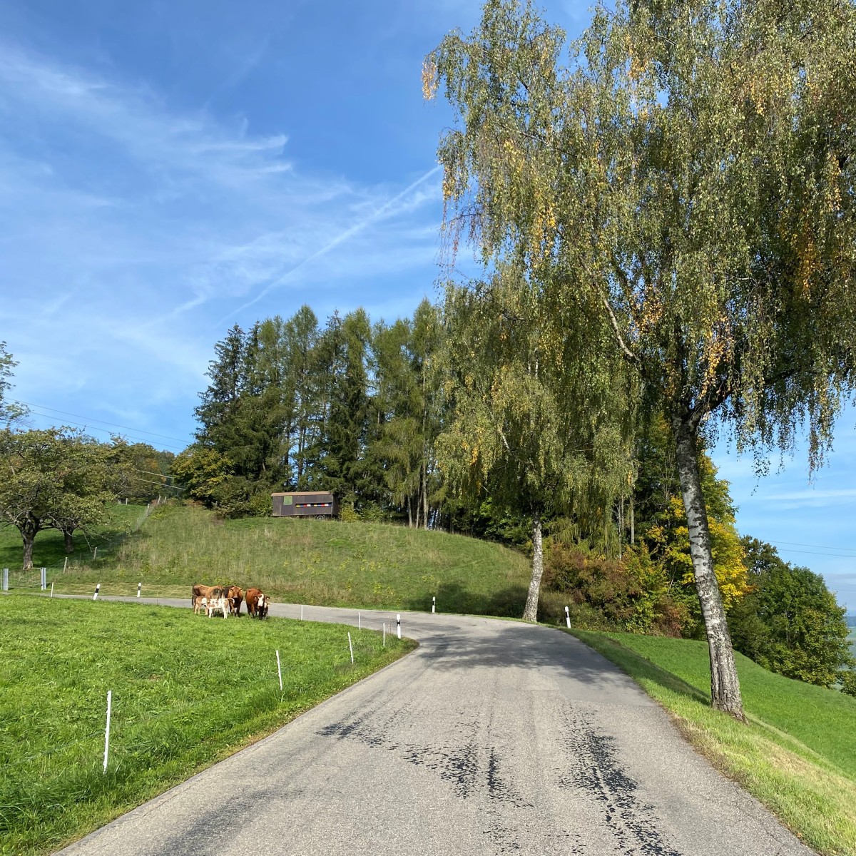 MM Baustart Hottwil.