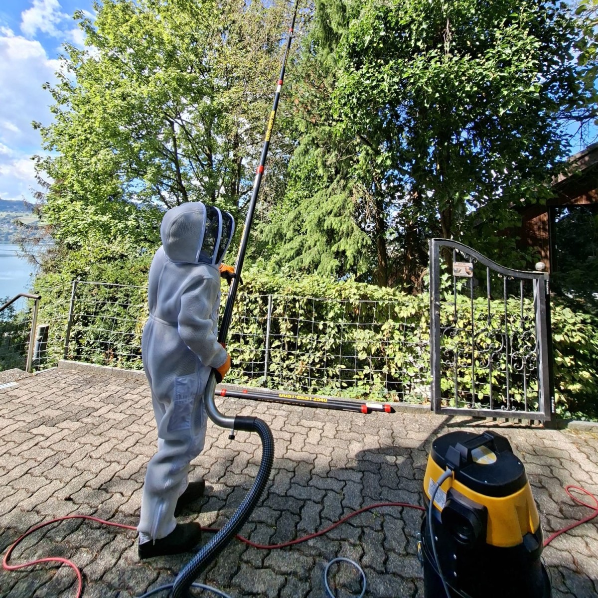 Eine Person in weissem Schutzanzug und Imkerhaube steht auf einem gepflasterten Platz und richtet eine lange Teleskopstange in die Baumkrone. Daneben steht ein Sauger, offenbar zur Entfernung eines Nestes in grosser Höhe.