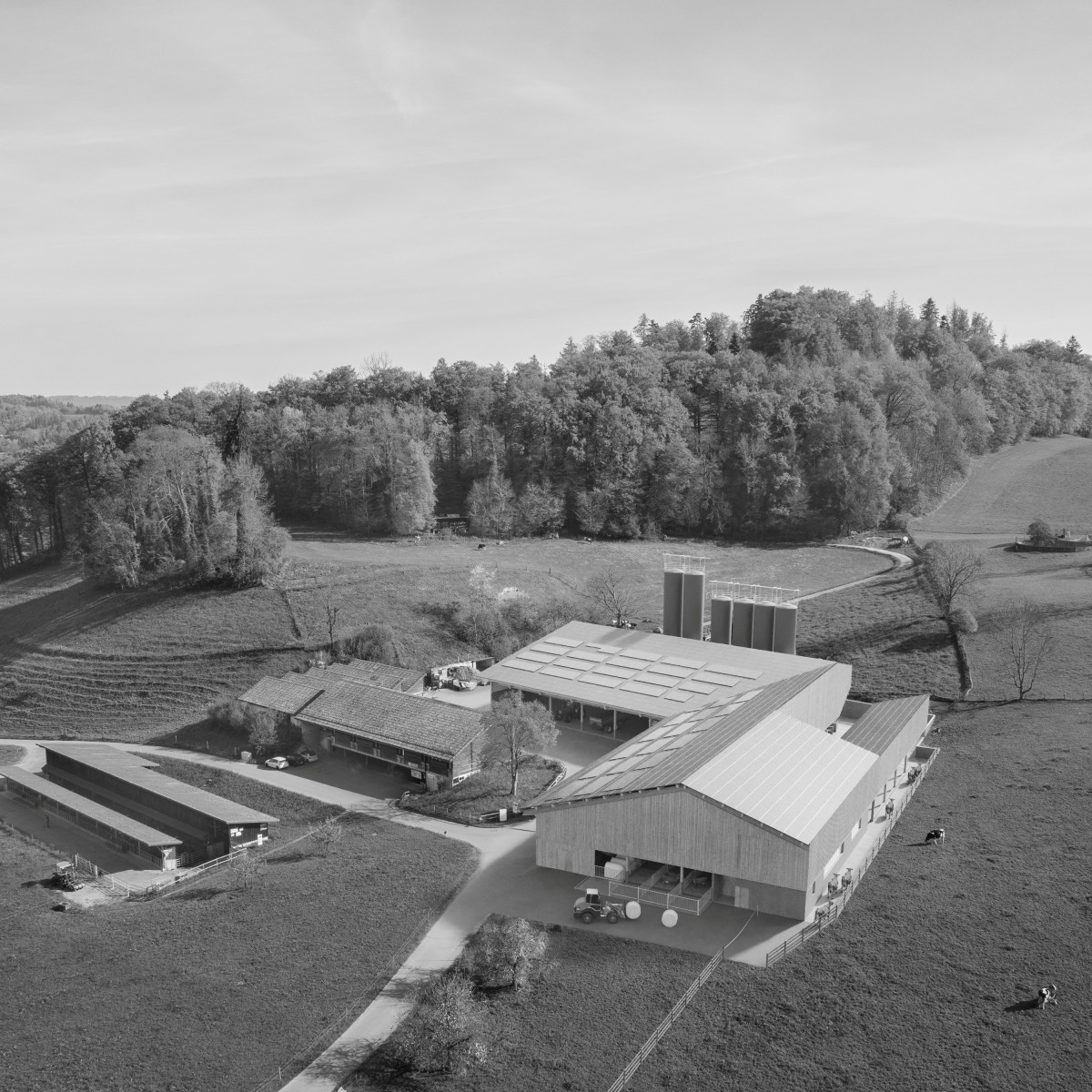 Visualisierung Ausbildungs- und Versuchsbetrieb des Landwirtschaftlichen Zentrums Liebegg aus der Vogelperspektive. 