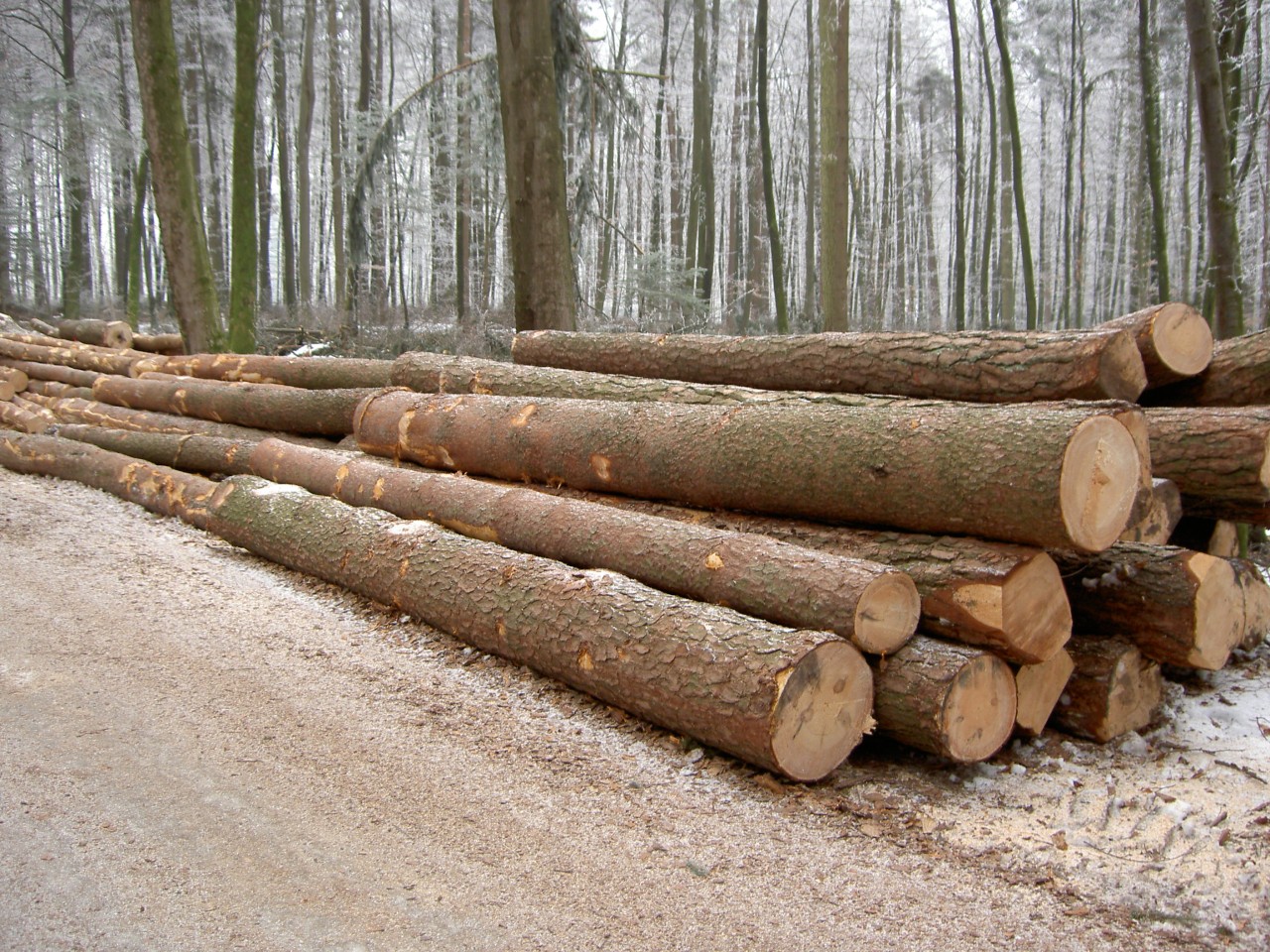 Holzproduktion