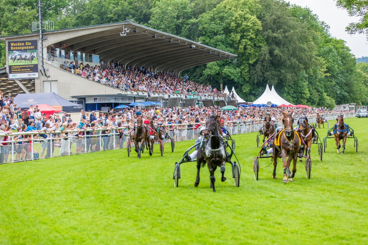 Trabrennen vor der Tribüne im Aarauer Schachen